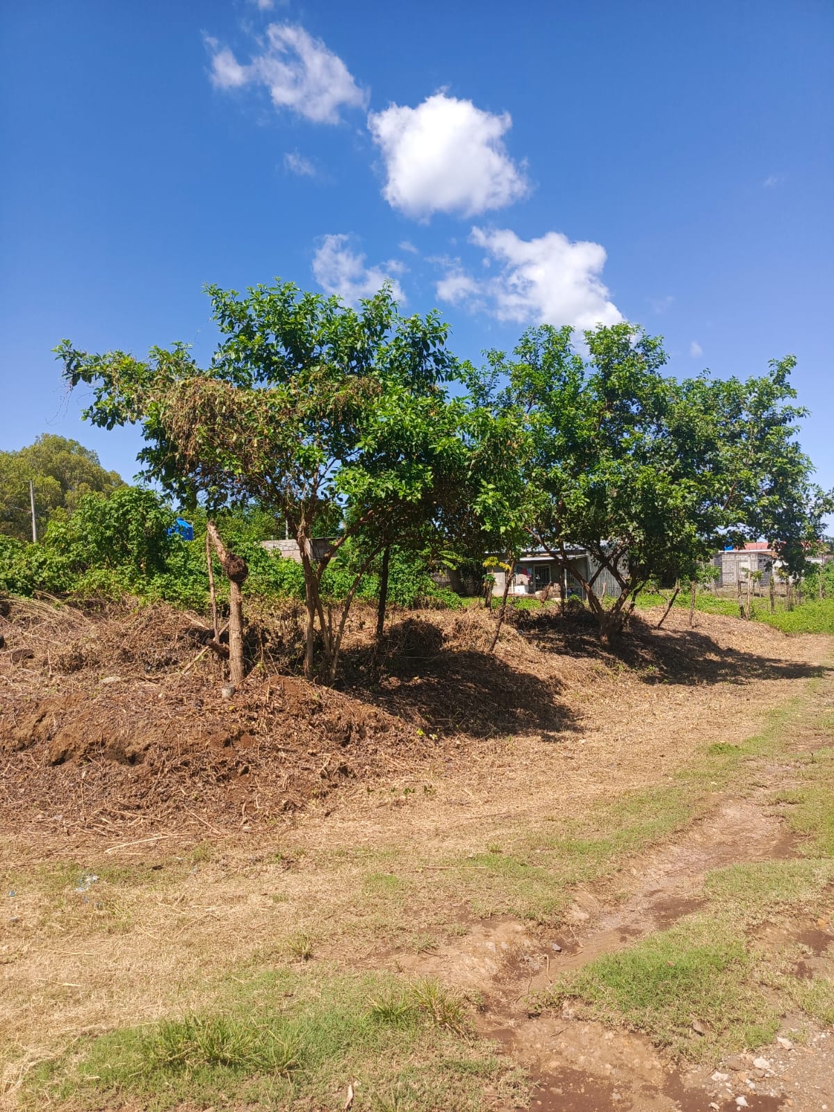 Lote de Terreno Km 14 Carretera a Masaya, Veracruz