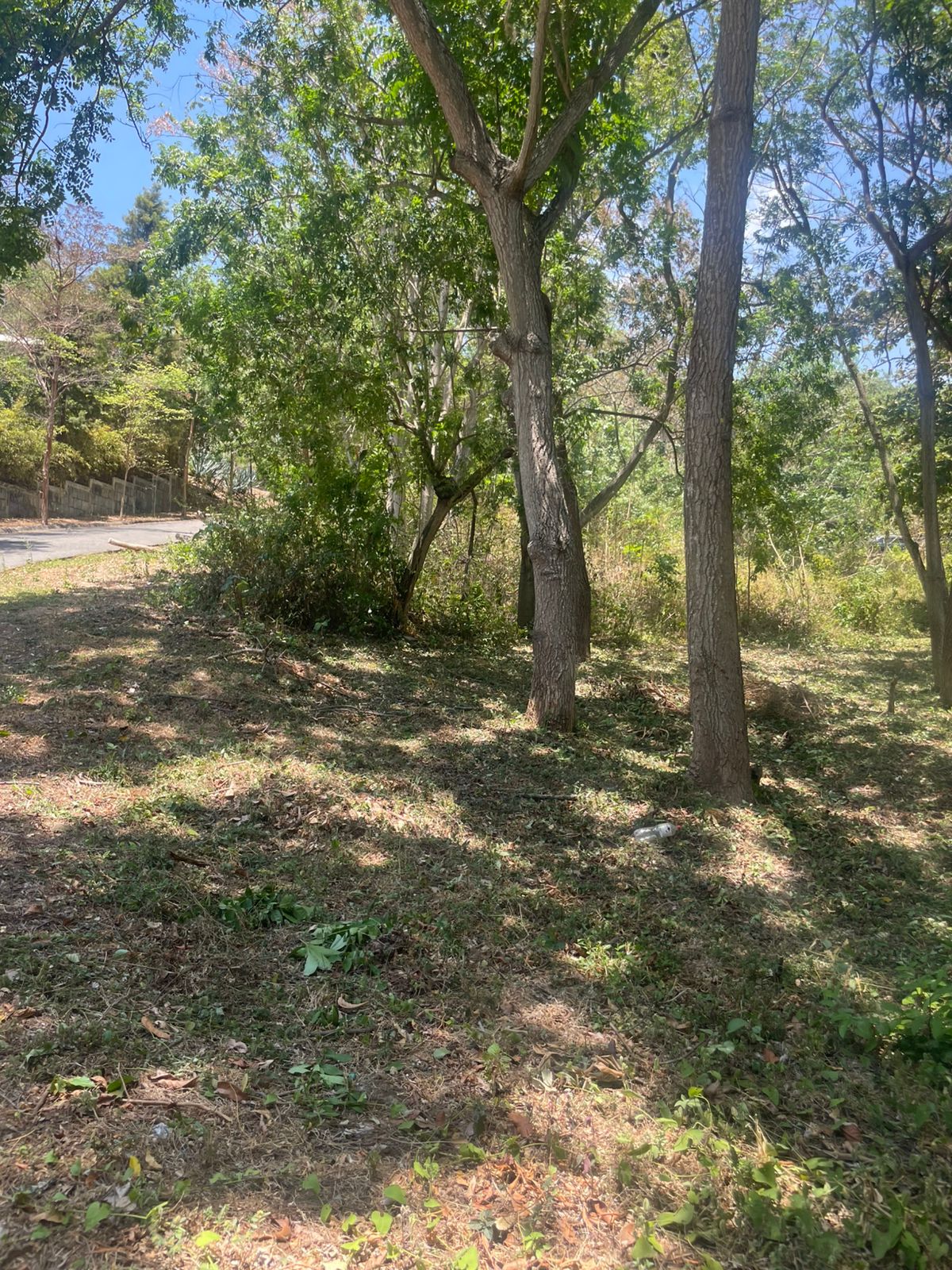 Terreno esquinero en venta en Balcones de Santo Domingo🌳✨