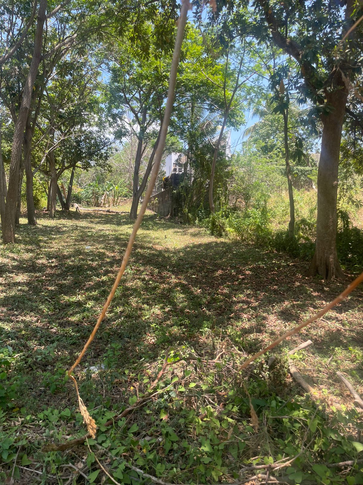 Terreno esquinero en venta en Balcones de Santo Domingo🌳✨
